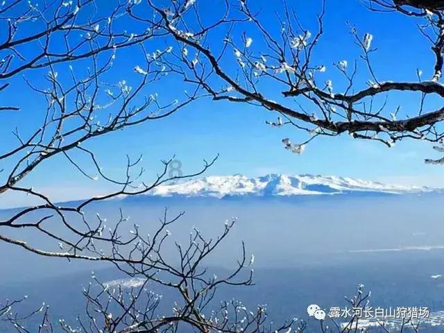 有杀气童话
