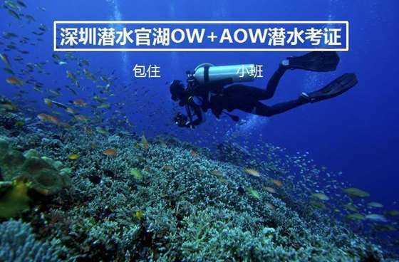 王毅刚划下红线，一架美专机火速落地台湾，解放军是时候出手了