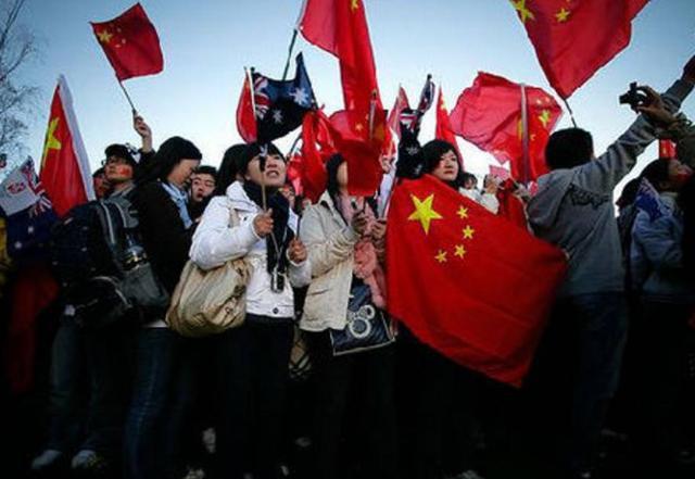 呆萌动物对对碰